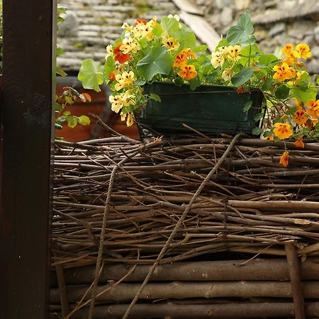 Residence Casa Dei Fiori Alagna Valsesia Extérieur photo